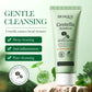 Centella Asiatica Moisturizing Facial Foam Cleanser